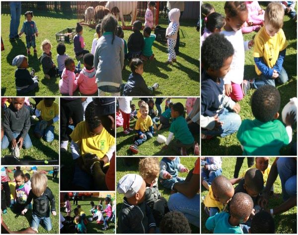 AbacusKidz Educational Shows-13